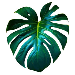 Vibrant Monstera Leaf Detail PNG 05232024 PNG