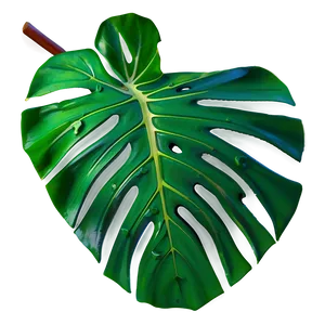 Vibrant Monstera Leaf Detail PNG 99 PNG