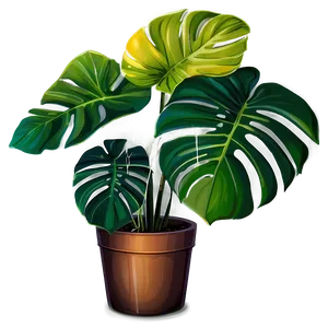 Vibrant Monstera Plant PNG 15
