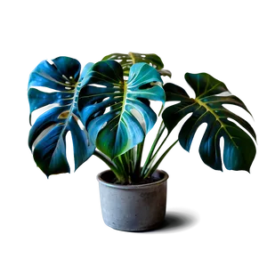 Vibrant Monstera Plant PNG Apk99