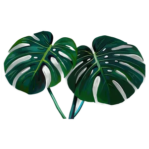 Vibrant Monstera Plant PNG Lfp37