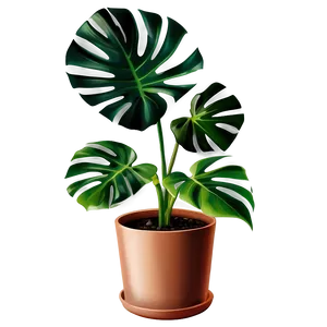 Vibrant Monstera Plant Png Vpt53 PNG image