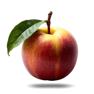 Vibrant Nectarine PNG 06252024