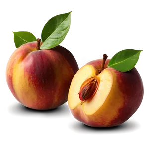 Vibrant Nectarine Png 55 PNG image