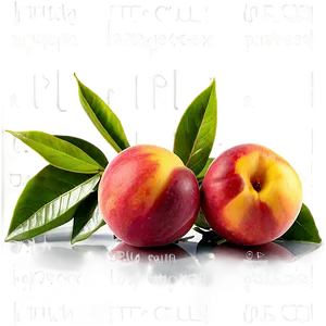 Vibrant Nectarine PNG 89