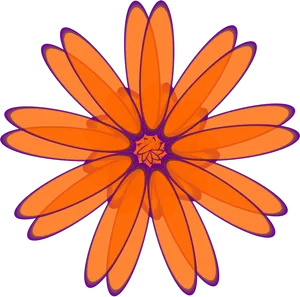 Vibrant Orange Daisy Illustration PNG image