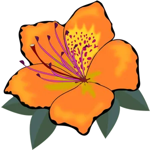 Vibrant Orange Flower Clipart
