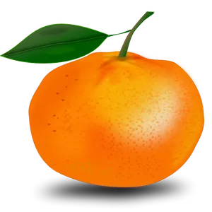 Vibrant Orange Fruit Illustration PNG