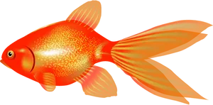Vibrant Orange Goldfish Illustration