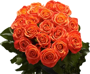 Vibrant Orange Roses Bouquet PNG image