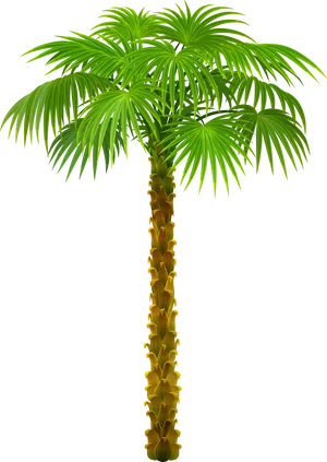 Vibrant Palm Tree Graphic