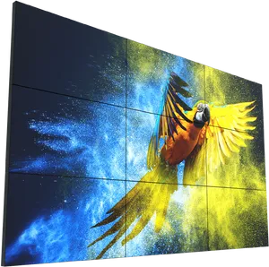 Vibrant Parrot Cosmic Wall Art PNG image