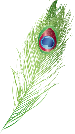 Vibrant_ Peacock_ Feather_ Artwork.png PNG image