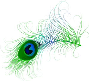 Vibrant_ Peacock_ Feather_ Artwork PNG image