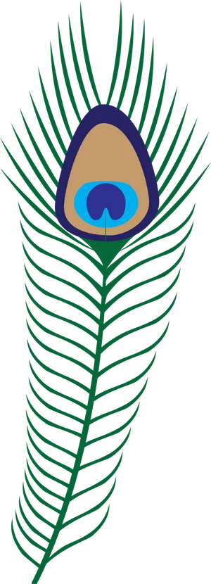 Vibrant_ Peacock_ Feather_ Graphic PNG image