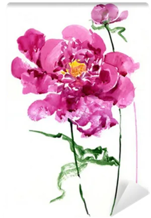 Vibrant Peony Watercolor Art PNG