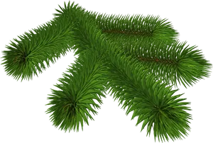 Vibrant Pine Branch3 D Render PNG image