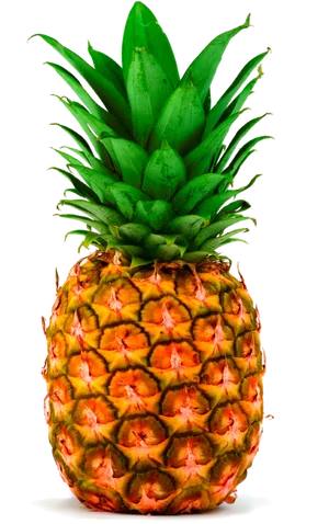 Vibrant Pineapple Black Background