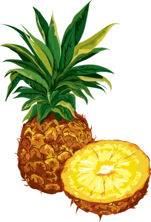 Vibrant Pineappleand Slice PNG image