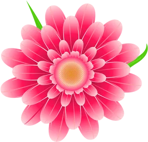 Vibrant Pink Floral Graphic PNG image