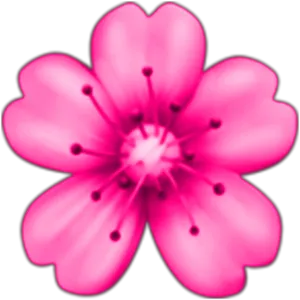 Vibrant_ Pink_ Flower_ Black_ Background PNG image