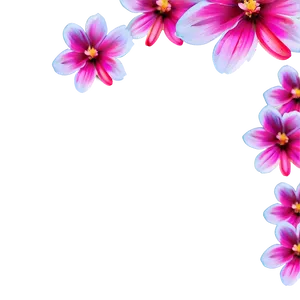 Vibrant Pink Flower PNG 05242024