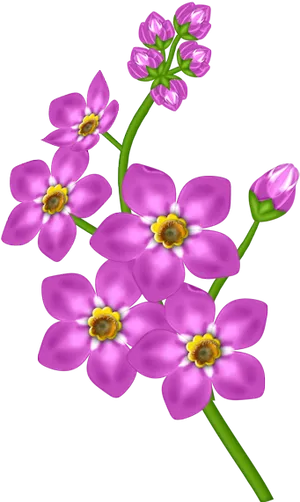 Vibrant Pink Flowers Black Background PNG image