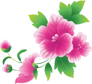 Vibrant_ Pink_ Flowers_ Illustration PNG image
