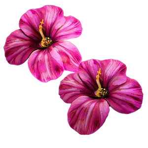 Vibrant Pink Flowers PNG 56