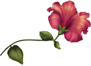 Vibrant_ Pink_ Hibiscus_ Flower PNG image