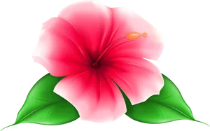 Vibrant Pink Hibiscus Flower PNG image