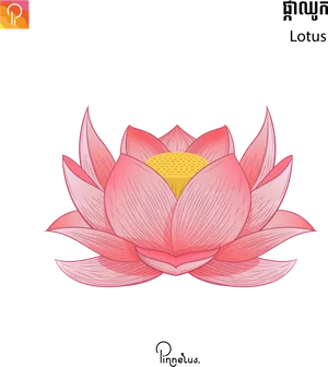Vibrant Pink Lotus Illustration PNG image