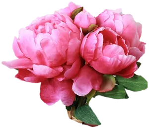 Vibrant Pink Peonies Bouquet