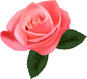 Vibrant Pink Rose Graphic PNG image