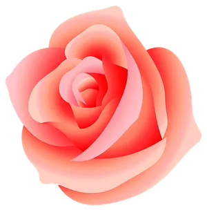 Vibrant Pink Rose Graphic
