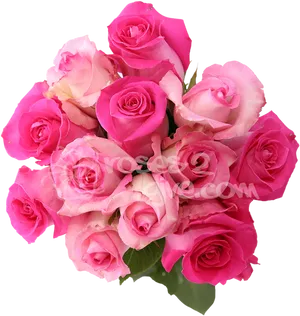 Vibrant_ Pink_ Roses_ Bouquet PNG image