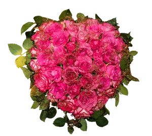 Vibrant Pink Roses Bouquet