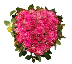Vibrant Pink Roses Heart Shaped Arrangement