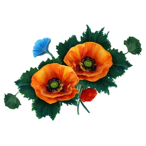 Vibrant Poppies PNG Mwc