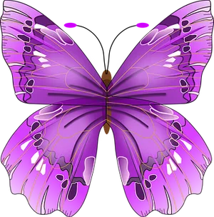 Vibrant Purple Butterfly Illustration