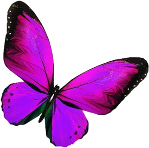 Vibrant Purple Butterfly Sticker PNG image