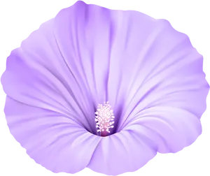 Vibrant Purple Flower Isolated PNG image