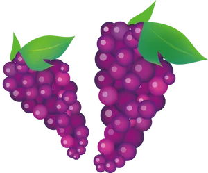Vibrant Purple Grapes Vector