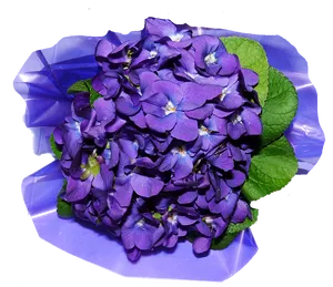 Vibrant Purple Hydrangea Bloom