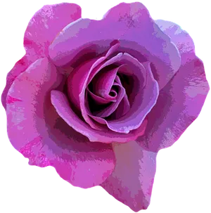 Vibrant Purple Rose Art