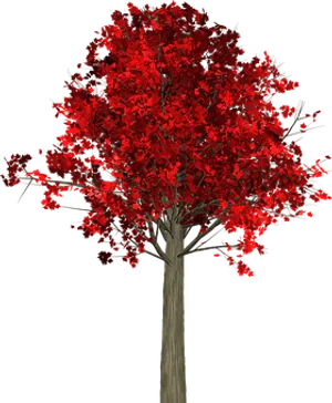 Vibrant Red Autumn Tree