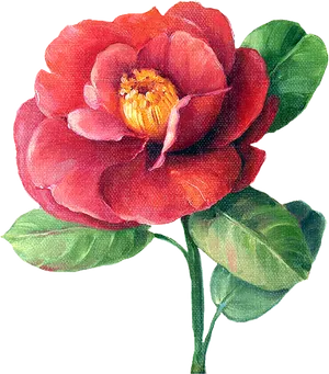 Vibrant Red Camellia Bloom PNG image