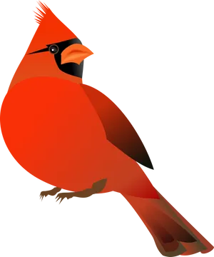 Vibrant Red Cardinal Illustration PNG image