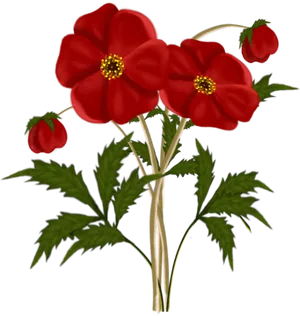 Vibrant Red Flowers Illustration PNG