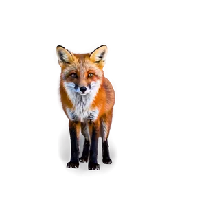 Vibrant Red Fox PNG 53 PNG